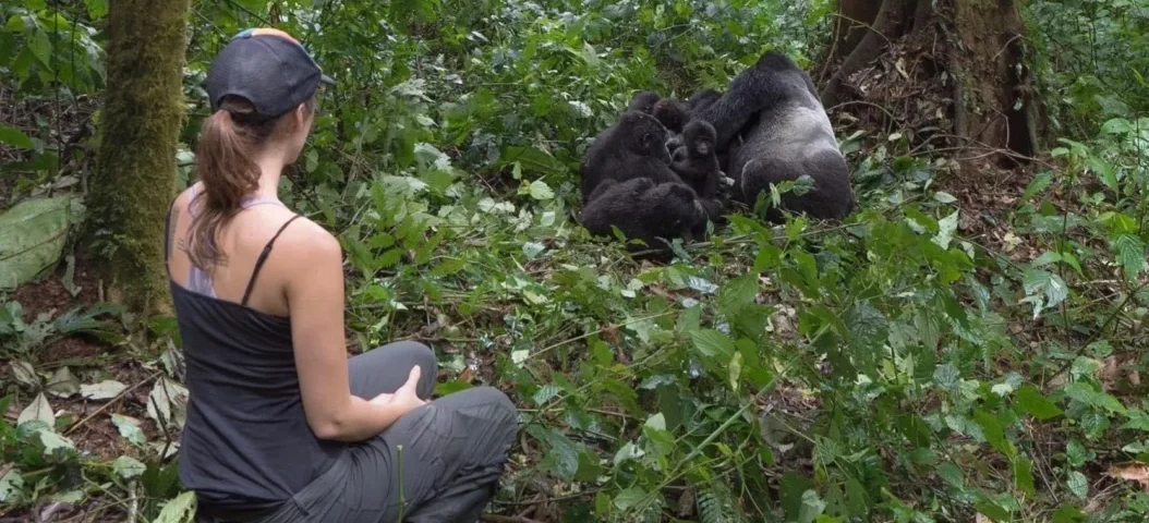How Long Do You Need for Gorilla Trekking?