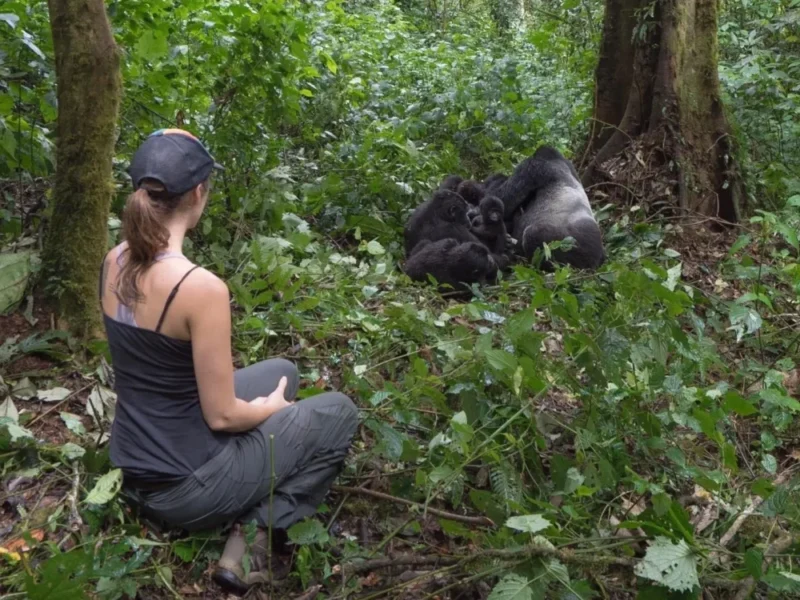 When Should I Go Gorilla Trekking in Rwanda?