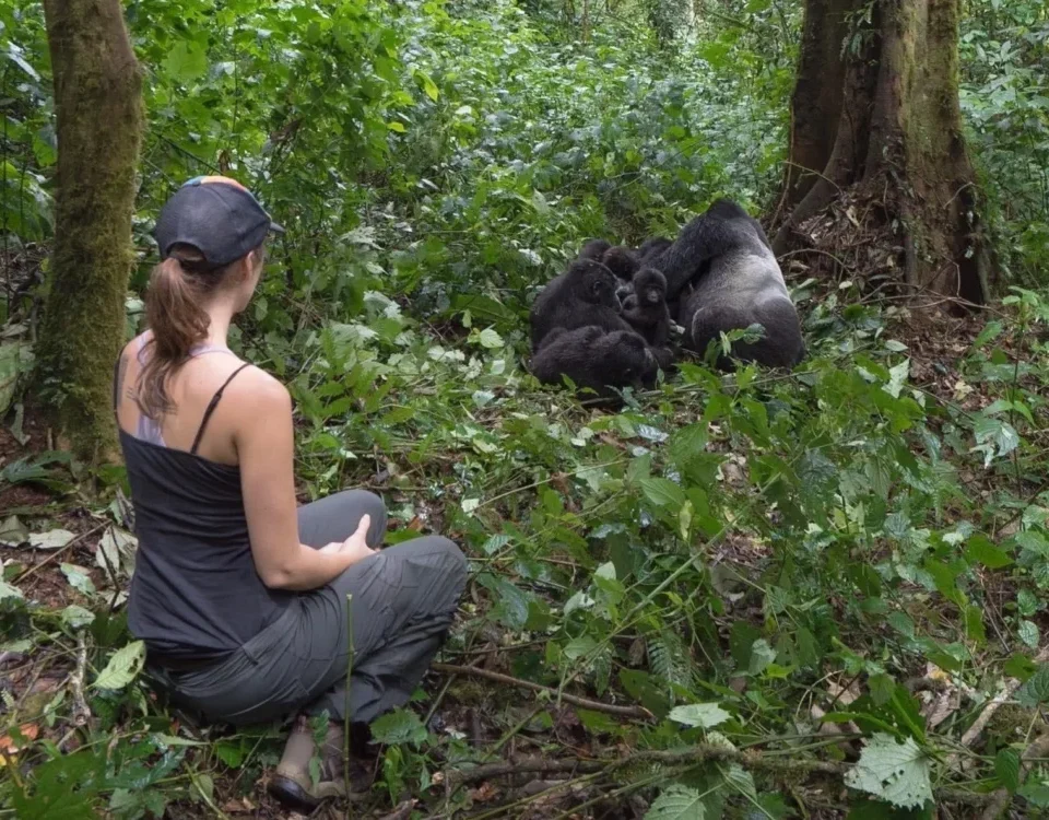 How Long Do You Need for Gorilla Trekking?