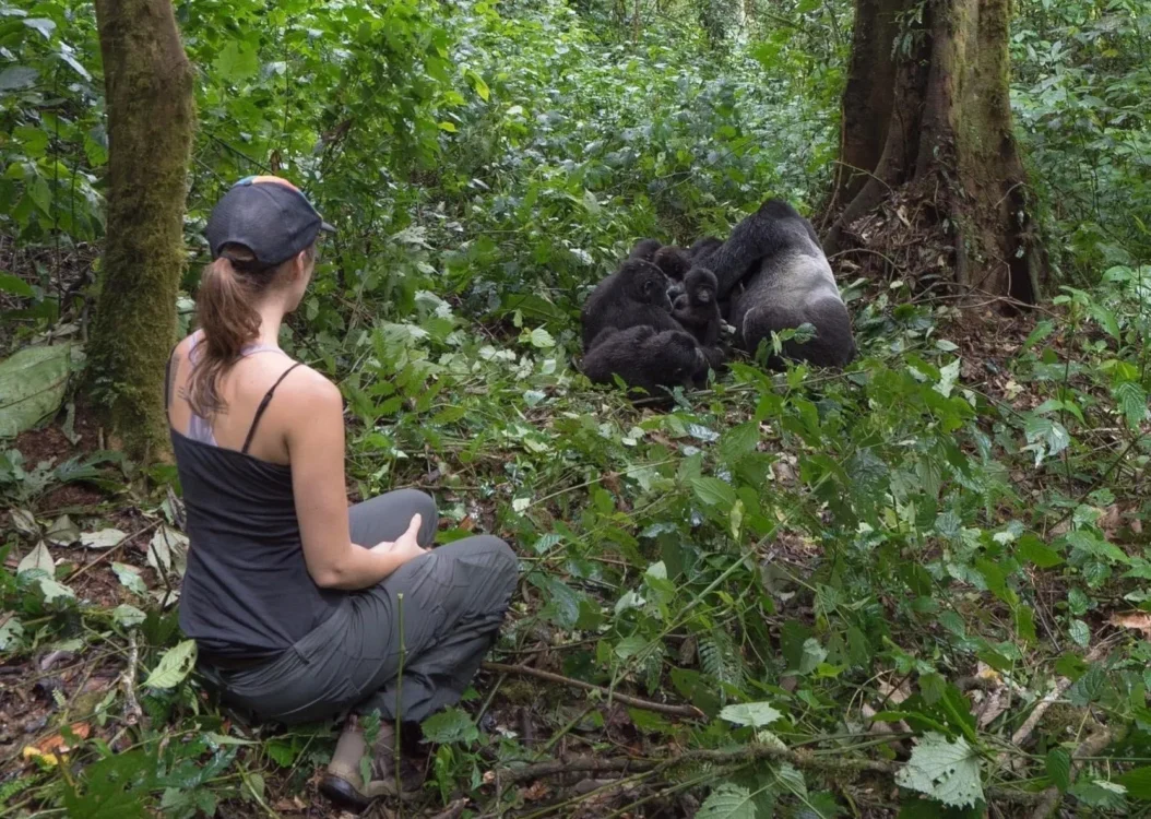 Rules and Guidelines for Uganda Gorilla Trekking