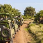 East Africa Road Trips