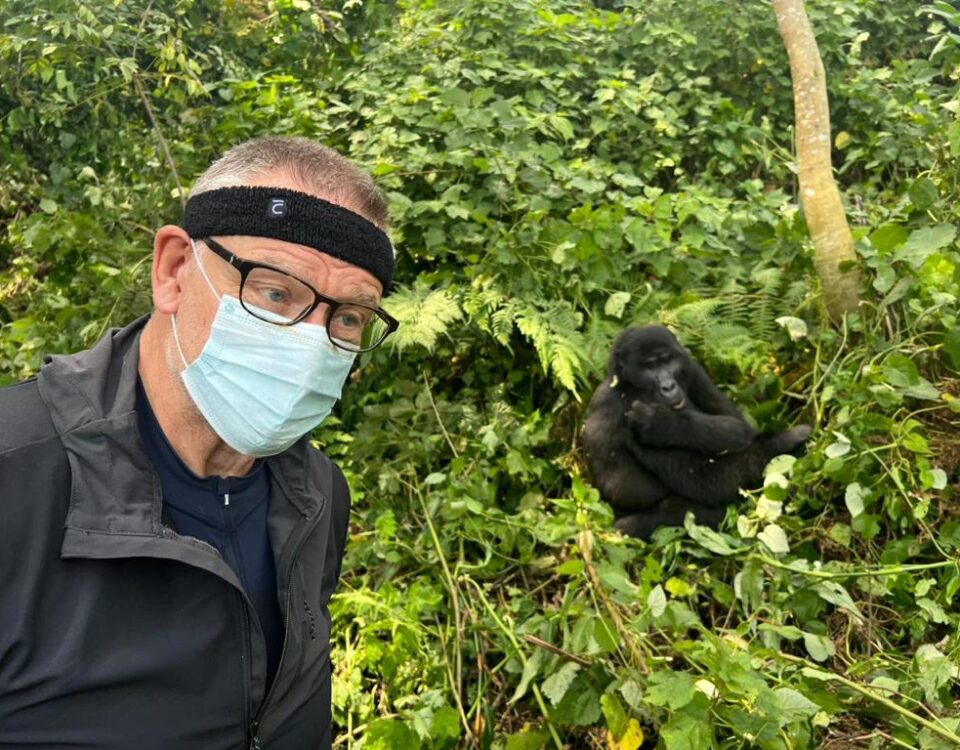 How Far Do You Have to Be for Gorilla Trekking?