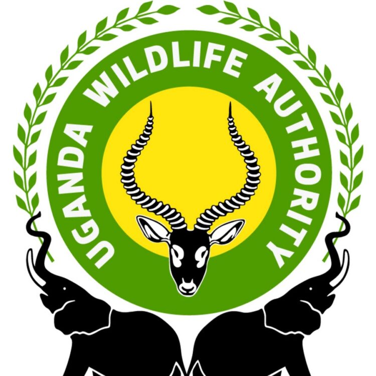 Wild Village Safaris