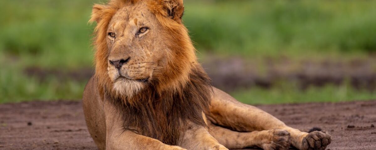 6 Days Uganda Kenya Tour