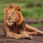 6 Days Uganda Kenya Tour