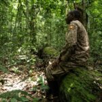 How Much Does It Cost to Trek Golden Monkey in Rwanda?