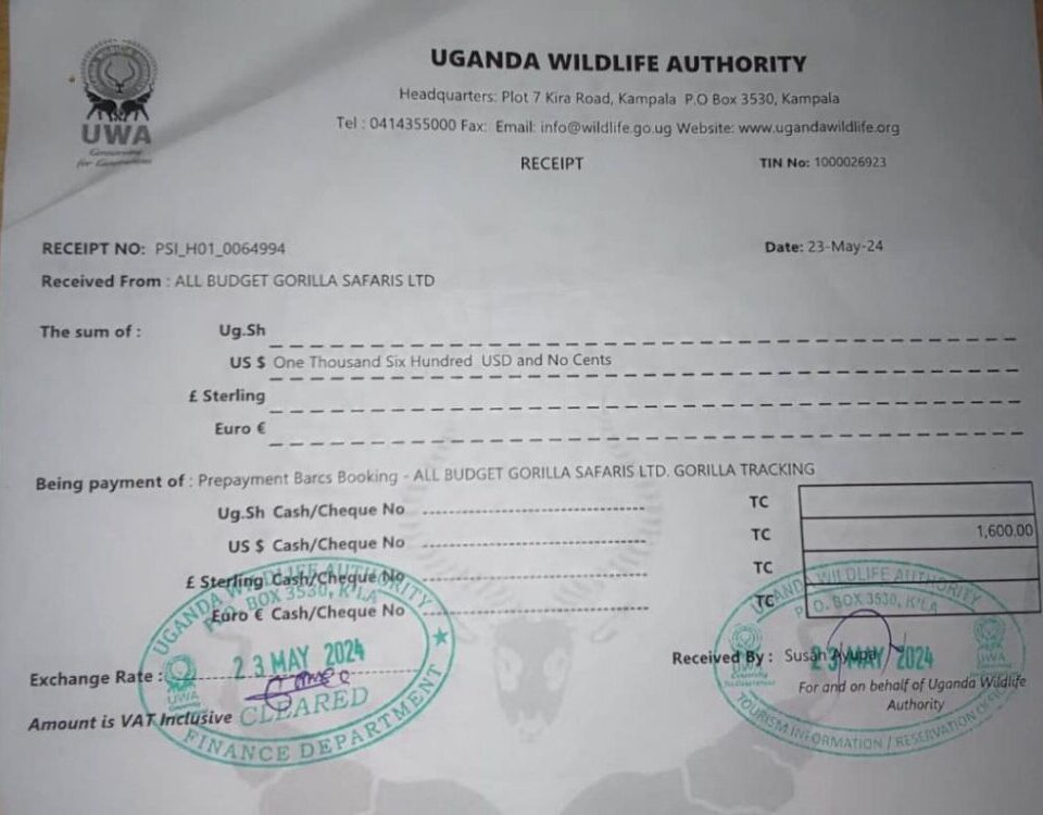 How Much Is the Gorilla Permit 2025?