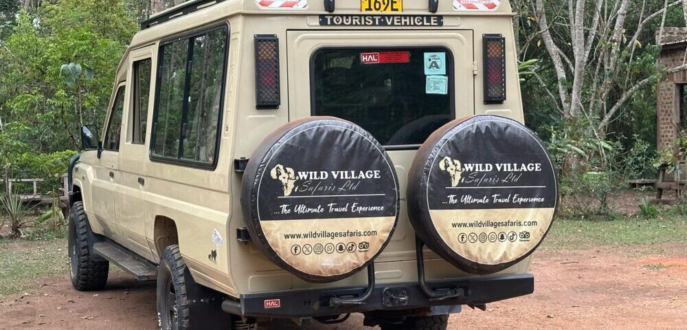 Wild Village Safaris