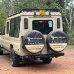 Wild Village Safaris