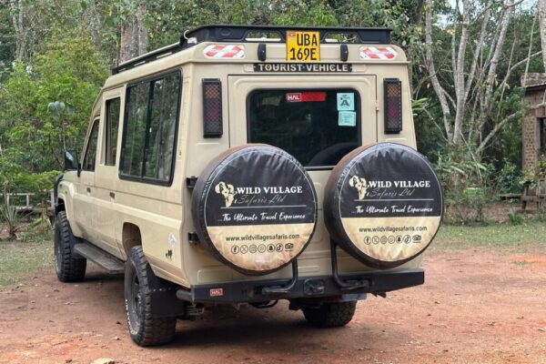 Wild Village Safaris