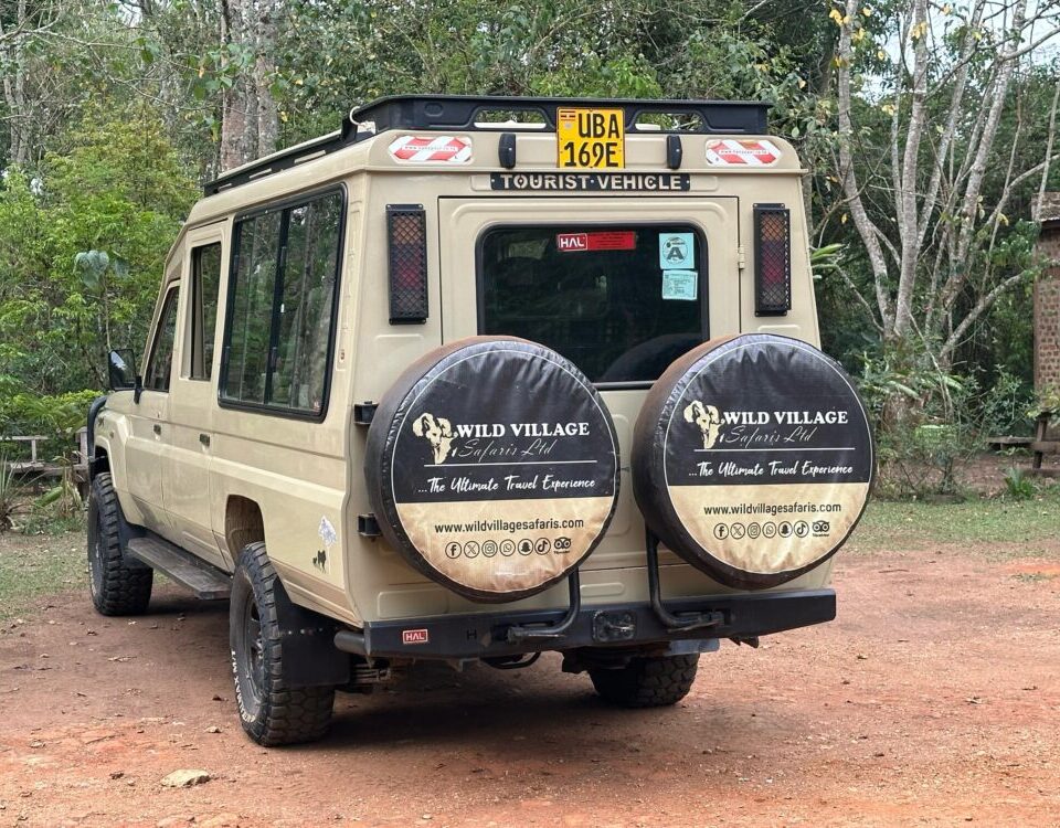Can I Combine Gorilla Trekking with Game Drive Safaris