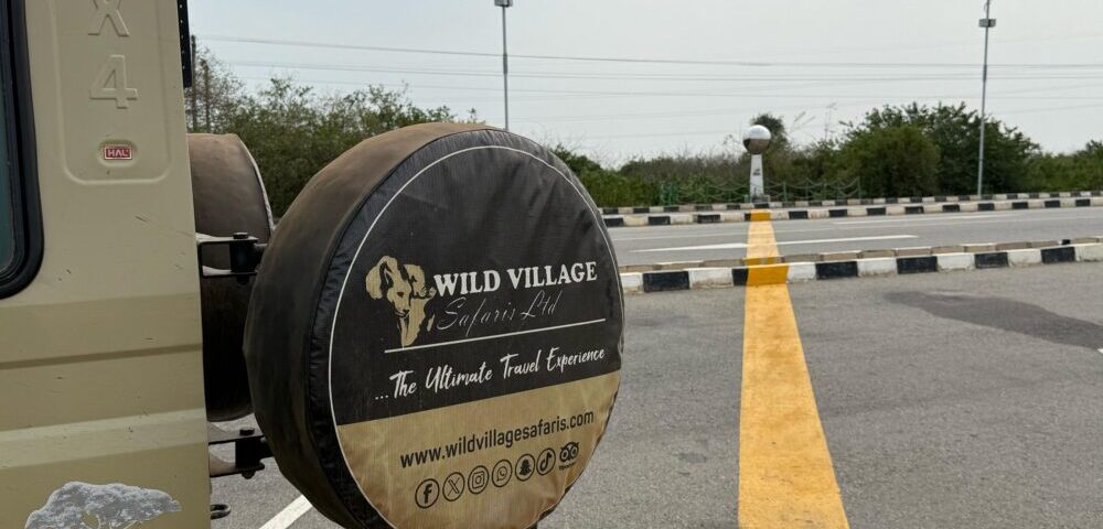 Uganda Mid-Range Safari Experience