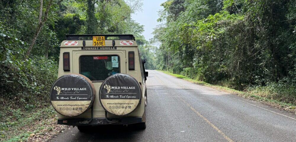  What Are the Best National Parks in Uganda for Game Drives?