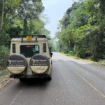  What Are the Best National Parks in Uganda for Game Drives?