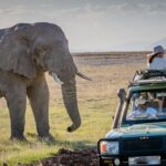 Game Drives in Uganda