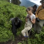 Understanding the Rules and Guidelines for Uganda Gorillas
