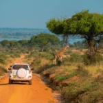 What Are the Best Times to Go for a Game Drive Safari in Uganda?