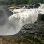 How Far Is Bwindi from Other Major Parks Like Queen Elizabeth or Murchison Falls?