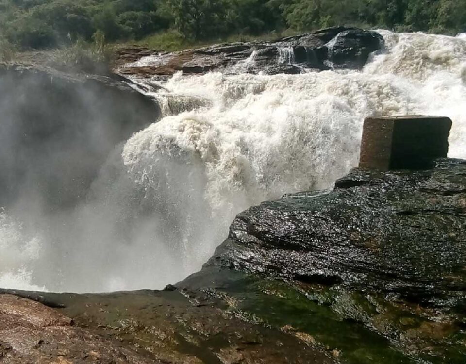 How Far Is Bwindi from Other Major Parks Like Queen Elizabeth or Murchison Falls?