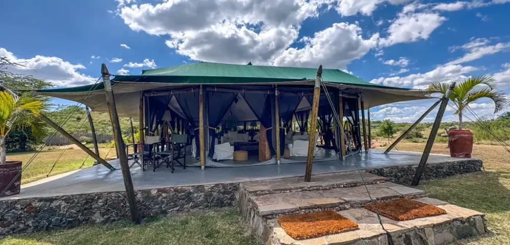 Are There Luxury and Budget Options for This Kind of Safari?