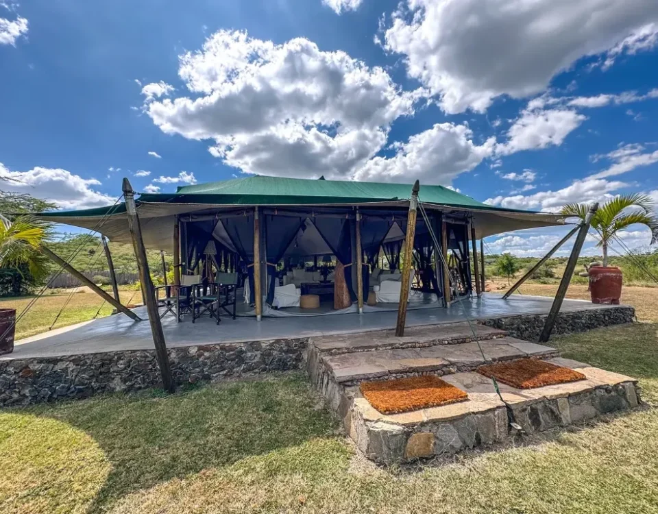 Are There Luxury and Budget Options for This Kind of Safari?